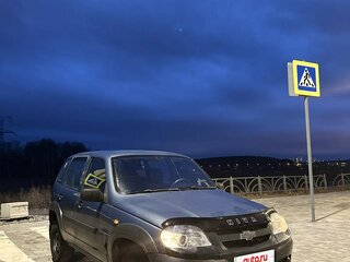 2010 Chevrolet Niva I Рестайлинг, серый, 360000 рублей, вид 2