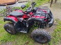 2023 Motoland ATV 250 Adventure, красный, 160000 рублей - вид 2