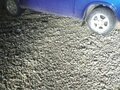 2009 Lada (ВАЗ) 2104, синий, 335000 рублей - вид 6