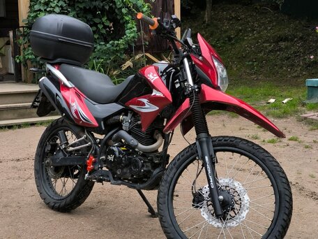 2019 ЗиД YX250GY-C5C, красный, 100000 рублей, вид 3
