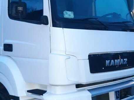 2016 КамАЗ 5490 NEO, белый, 2150000 рублей, вид 3