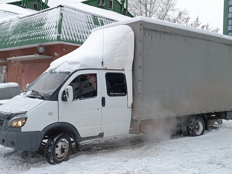 2005 ГАЗ ГАЗель (33023/330273) Фермер, белый, 720000 рублей, вид 5