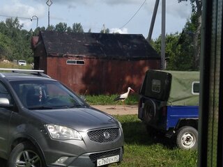 2011 SsangYong Actyon II, серый, 819999 рублей, вид 3