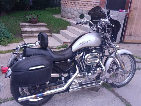 2003 Harley-Davidson Sportster 1200, серебристый, 690000 рублей, вид 5