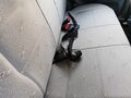 2004 Lada (ВАЗ) 2115, серебристый - вид 9