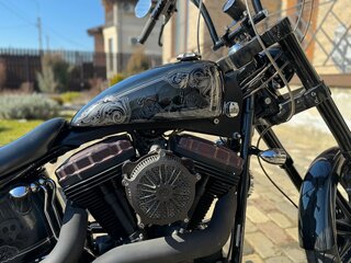 2010 Harley-Davidson Cross Bones, чёрный, 1500000 рублей, вид 2