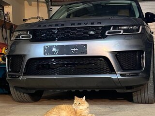 2021 Land Rover Range Rover Sport MHEV II Рестайлинг, серый, 9000000 рублей, вид 1
