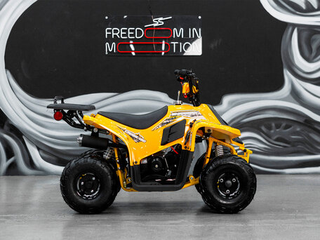 2025 Sharmax Cross, чёрный, 79900 рублей, вид 3