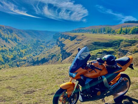 2005 Kawasaki Z 1000, оранжевый, 550000 рублей, вид 1