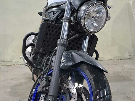 2016 Suzuki SV 650, белый, 540000 рублей, вид 3