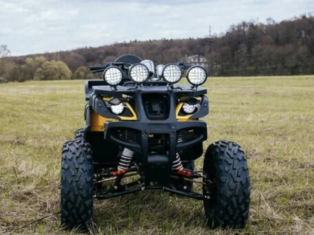 2025 Tiger Max Grade 300, жёлтый, 314400 рублей, вид 2