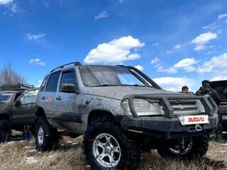 2004 Chevrolet Niva I, серебристый, 535000 рублей, вид 2