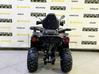 2026 Bison Hammer 200, чёрный, 229000 рублей, вид 2