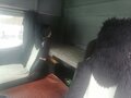2008 Mercedes-Benz Actros, белый, 3800000 рублей - вид 3