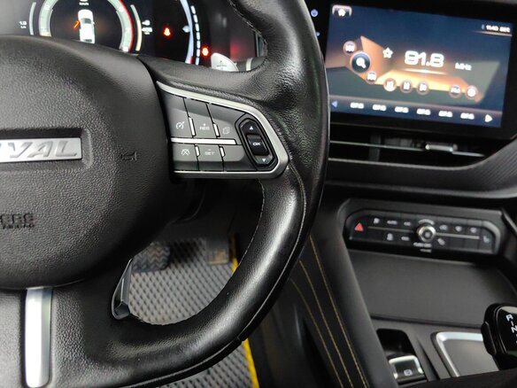 2019 Haval F7x I, серый, 1685000 рублей - вид 19