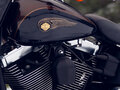 2013 Harley-Davidson Fat Boy, коричневый, 1350000 рублей - вид 10