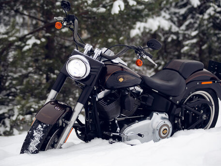 2013 Harley-Davidson Fat Boy, коричневый, 1350000 рублей, вид 5