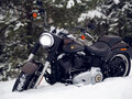 2013 Harley-Davidson Fat Boy, коричневый, 1350000 рублей - вид 4
