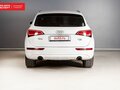 2013 Audi Q5 I (8R) Рестайлинг, белый, 1750000 рублей - вид 6