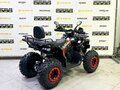 2025 Bison Warrior 200, чёрный - вид 4