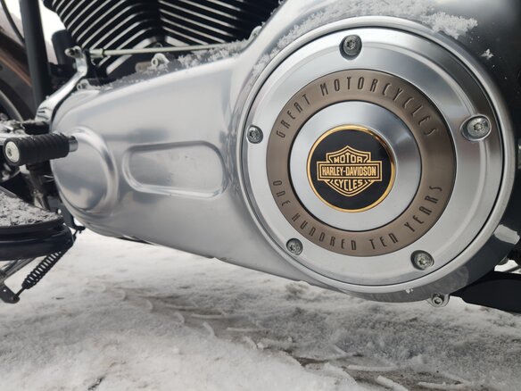2013 Harley-Davidson Fat Boy, коричневый, 1350000 рублей - вид 12