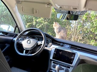 2017 Volkswagen Passat B8, белый, 1540000 рублей, вид 5