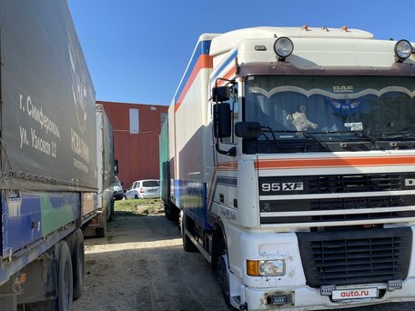 1998 DAF XF 95, белый, 2450000 рублей, вид 2