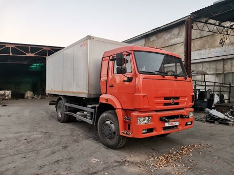 2016 КамАЗ 43118, оранжевый, 5500000 рублей, вид 4