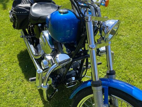 2004 Harley-Davidson Softail Standard, синий, 796000 рублей, вид 1