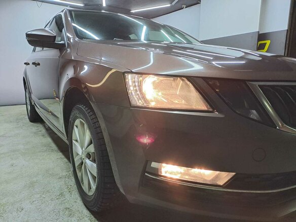 2018 Skoda Octavia III (A7) Рестайлинг, коричневый, 1630000 рублей - вид 12