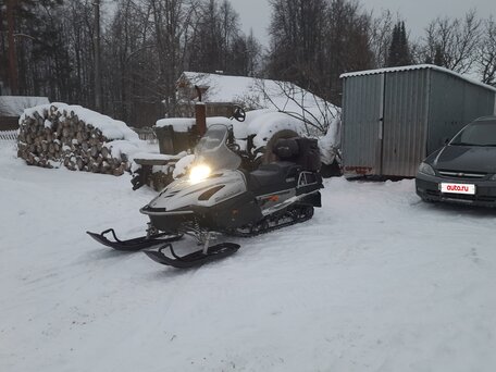 2005 Yamaha VK Professional, серебристый, 810000 рублей, вид 4