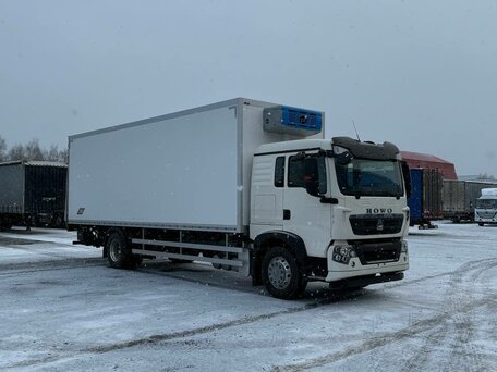2024 Sinotruk Howo T5G, белый, 9500000 рублей, вид 4