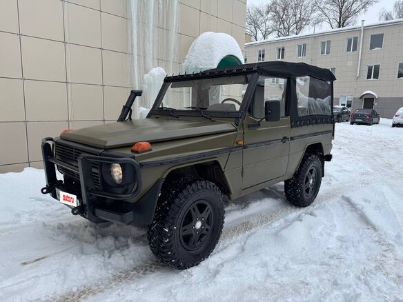 1989 Mercedes-Benz G-Класс 250 I (W460; W461), зелёный