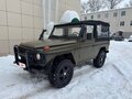 1989 Mercedes-Benz G-Класс 250 I (W460; W461), зелёный