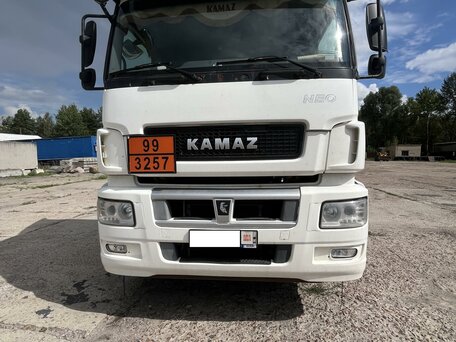 2018 КамАЗ 5490 NEO, белый, 2500000 рублей, вид 2