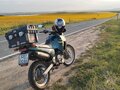 1997 Suzuki DR 800 Big, зелёный - вид 2