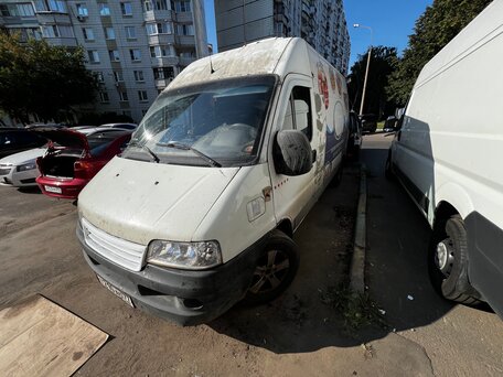 2008 Fiat Professional Ducato, белый, 500000 рублей, вид 1