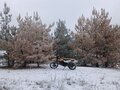 2014 Racer Enduro, оранжевый, 80000 рублей - вид 3