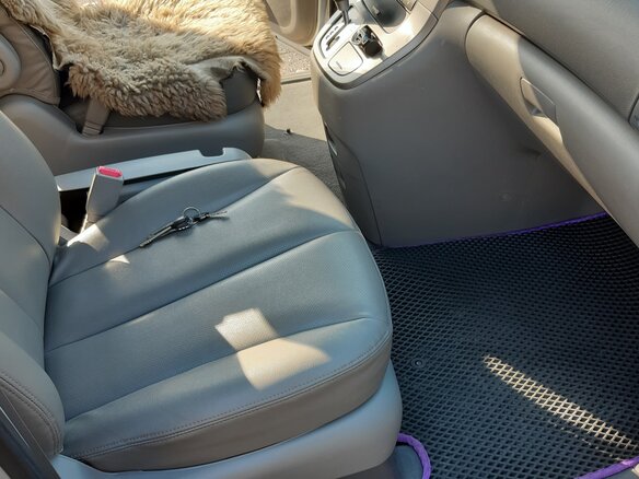 2010 Kia Carnival Grand II, серебристый, 1230000 рублей - вид 28