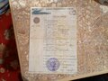 2011 Nexus Town, золотистый, 110000 рублей - вид 1