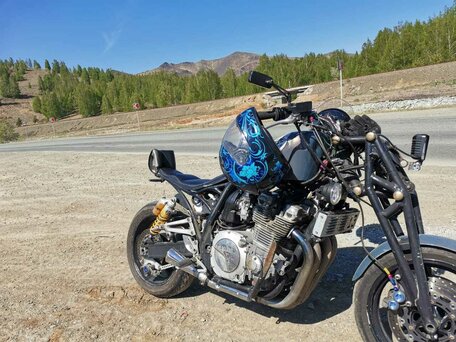 2001 Yamaha XJR1300, серебристый, 300000 рублей, вид 2