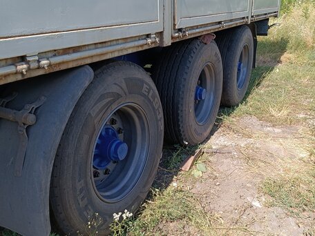 1994 Schmitz Cargobull SW 24, синий, 650000 рублей, вид 2