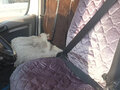 2010 Peugeot Boxer, белый, 1500000 рублей - вид 6