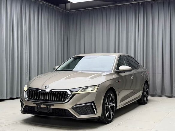 2023 Skoda Octavia IV (A8), коричневый - вид 2