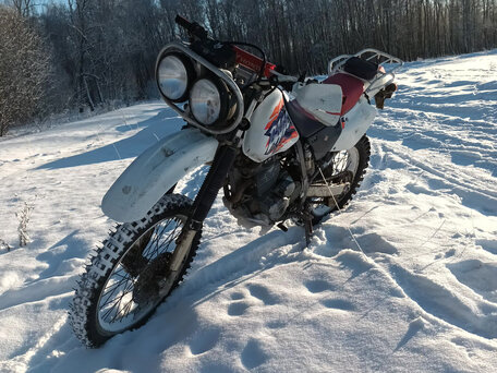 1998 Honda XR 250, белый, 310000 рублей, вид 4