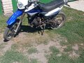 2019 Racer Panther, синий, 120000 рублей - вид 1