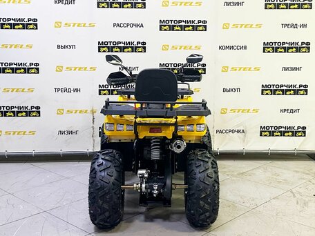 2025 Bison Warrior 200, жёлтый, 239900 рублей, вид 4