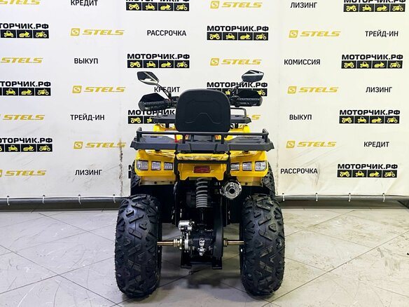 2025 Bison Warrior 200, жёлтый - вид 3