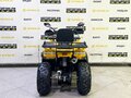 2025 Bison Warrior 200, жёлтый - вид 3