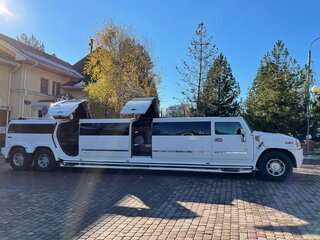 2003 Hummer H2 I, белый, 2600000 рублей, вид 5
